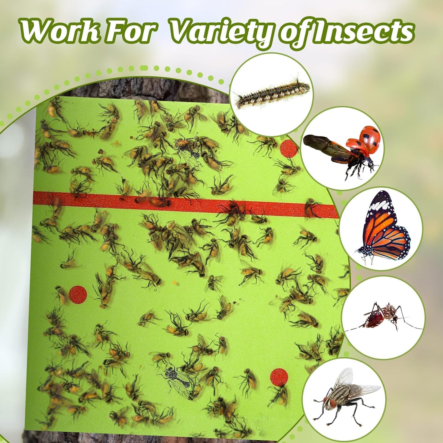 Qualirey 6 Rolls Spotted Lantern Fly Traps 30 Feet Each Roll Fly Tree Trap Sticky Strips Outdoor Fruit Glue Strips Disposable Tape Indoor Paper Sheets for Protecting Trees(Green)