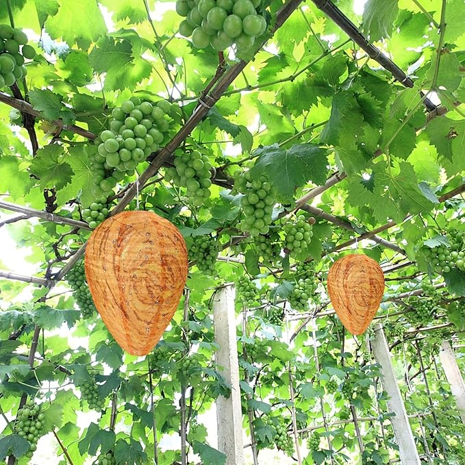 DECYOOL 4 Pack Wasp Nest Decoy Hanging Wasp for Wasps Hornets Yellow Jackets Outdoor Waterproof Material (Orange)
