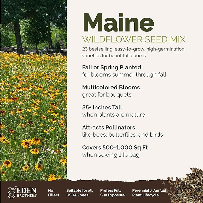 Eden Brothers Maine Wildflower Mixed Seeds for Planting, 1 lb, 480,000+ Seeds with Lupine, Cornflower | Attracts Pollinators, Plant in Spring or Fall, Zones