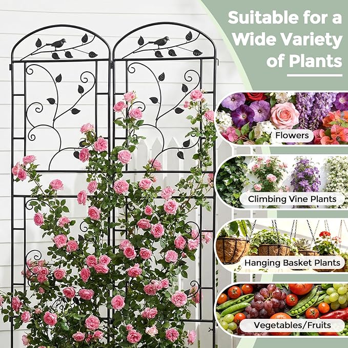 Garden Trellis for Climbing Plants Outdoor, Rustproof Metal Trellis with Black Coating, Plant Climbing Support for Rose Vines Flowers Vegetables Fruits - 2 Pack 71x20 in Plant Trellis Outdoor