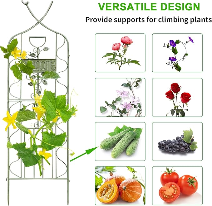 LZRS 2 Pack 59.5 * 18in Rustic Iron Arch Decoration Garden Trellis with Metal Coating – Perfect for Supporting Climbing Plants Outdoor, Roses, Vines, Flowers, and Vegetables, Antique Green