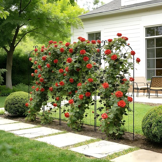 VEVOR Garden Trellis, 71 x 20 inch Rose Trellis, 2 Packs Garden Flower Rose Trellises with Powder-Coated Finish & Convenient Locking Design, Plant Support Trellises for Flowers, Vegetables, Roses