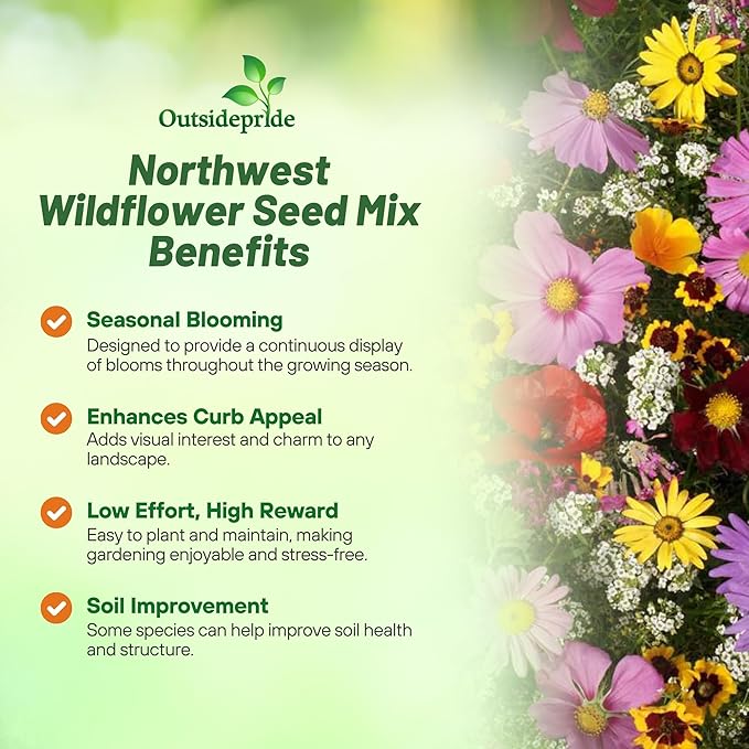 Outsidepride Northwest Wild Flower Seed Mix - 1/4 lb Premium Blend of Annual & Perennial Wildflower Seeds for Northwestern States - Ideal for Attracting Pollinators, Perfect for Garden Displays