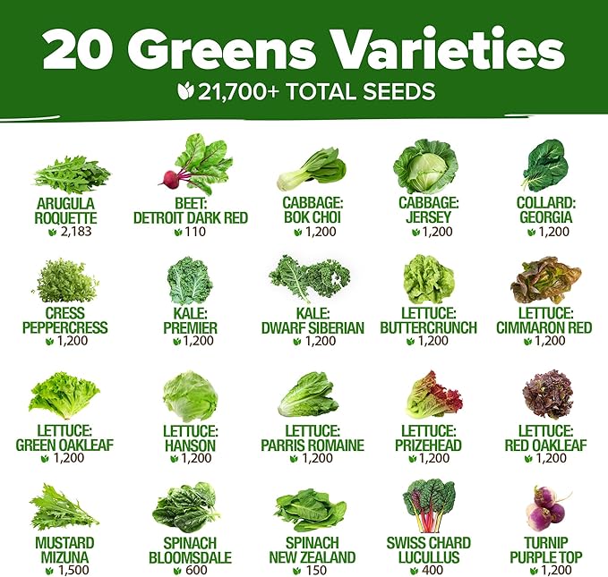 HOME GROWN 21,700+ Lettuce Seeds for Planting - 20 Heirloom Varieties, Non-GMO USA - Romaine, Butterhead, Iceberg, Leaf Lettuce, Spinach & Kale - Indoor, Outdoor & Hydroponic Garden Kit
