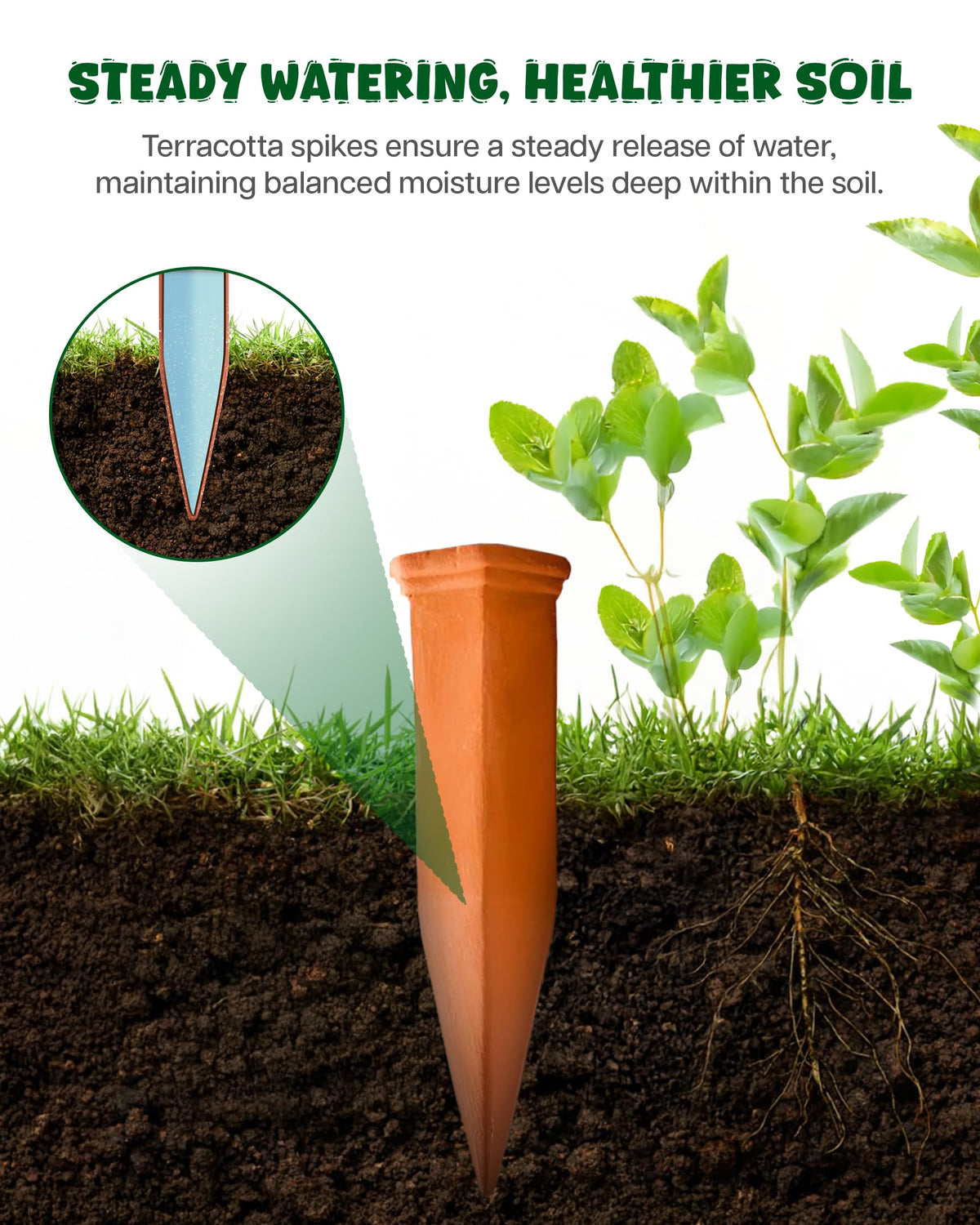 Plant Watering Devices (Terracotta - 10 Pcs (Pack of 1))