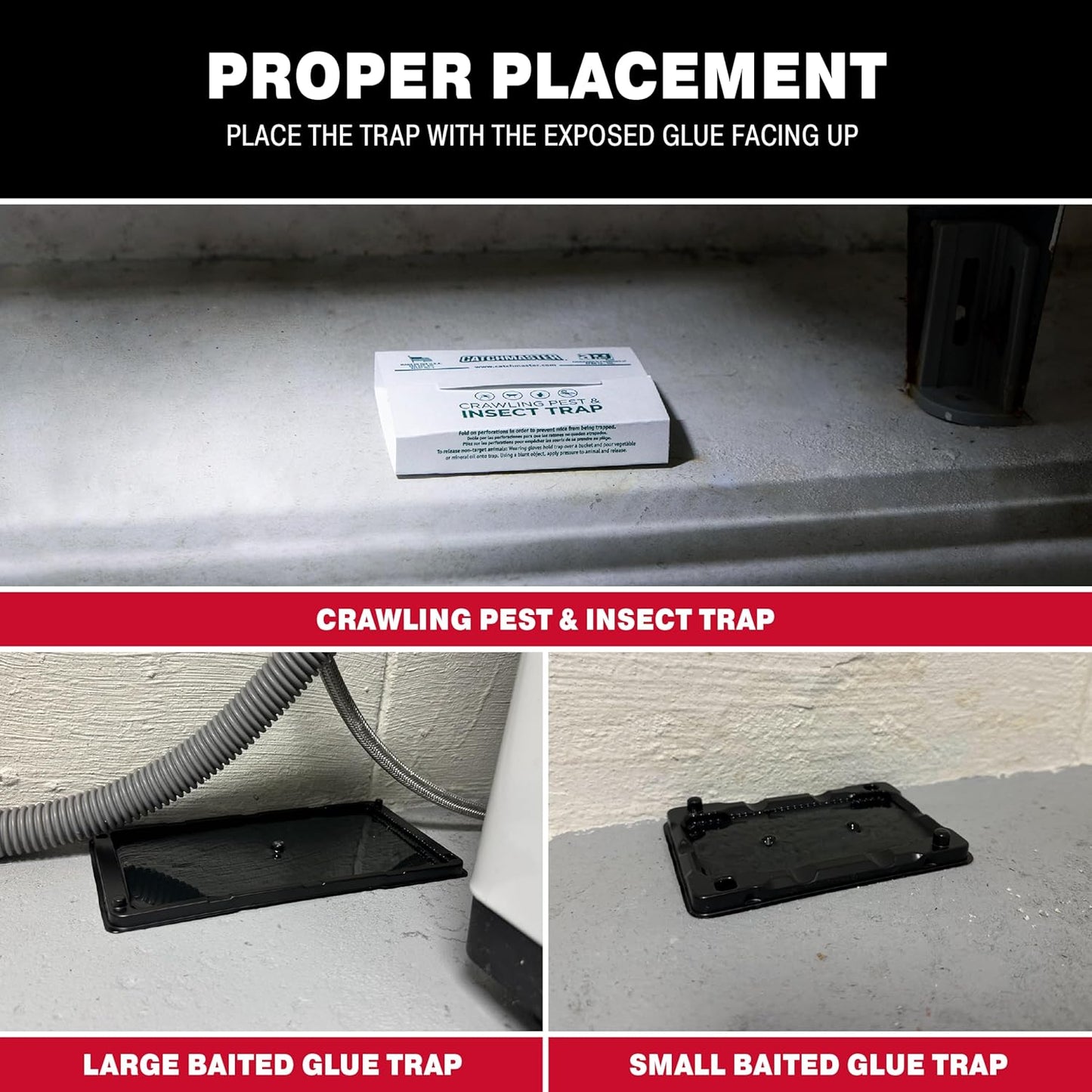 Catchmaster Glue Trap Variety Pack - 2 Mouse Trays, 2 Rat Trays, 4 Insect Glue Traps, Pet Safe Mouse Traps Indoor for Home, Pest Protection Kit for Basement & Garage, Rodent & Insect Pest Control