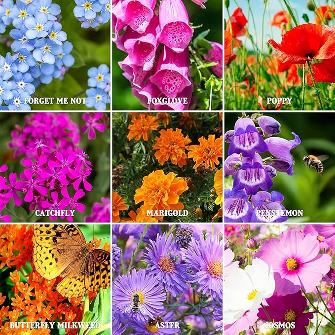 The Old Farmer's Almanac Premium Wildflower Seeds 23 Variety Pollinator Mix - Non-GMO, Open Pollinated - Columbine Cosmos Foxglove Larkspur Poppy Snapdragon Zinnia - Attracts Butterflies Bees Birds