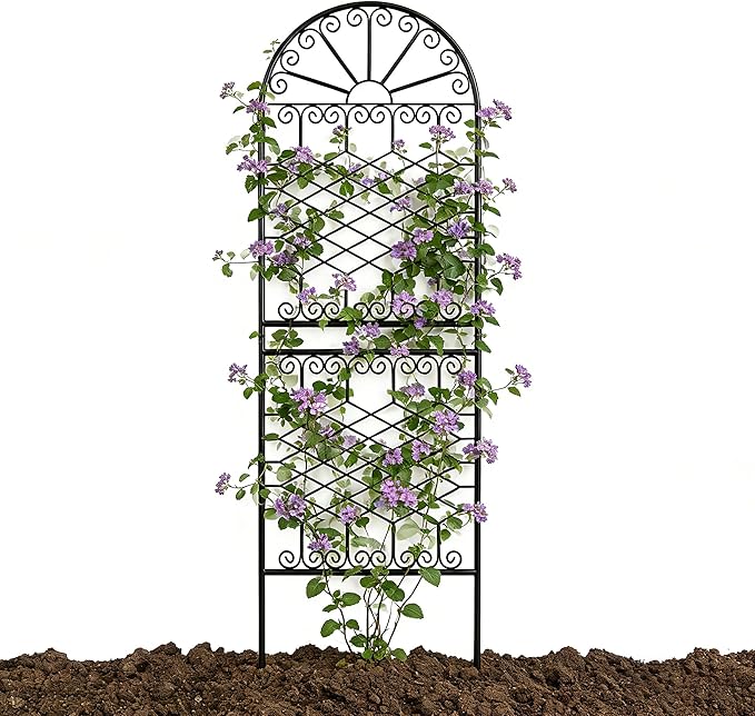SCENDOR 70.8" H x 24.5" W Heavy-Duty Iron Garden Trellis, Arched Decorative Plant Support with Scrollwork, Rustproof Metal Trellis for Climbing Roses, Clematis, and Vines, for Lawn 1 Pack