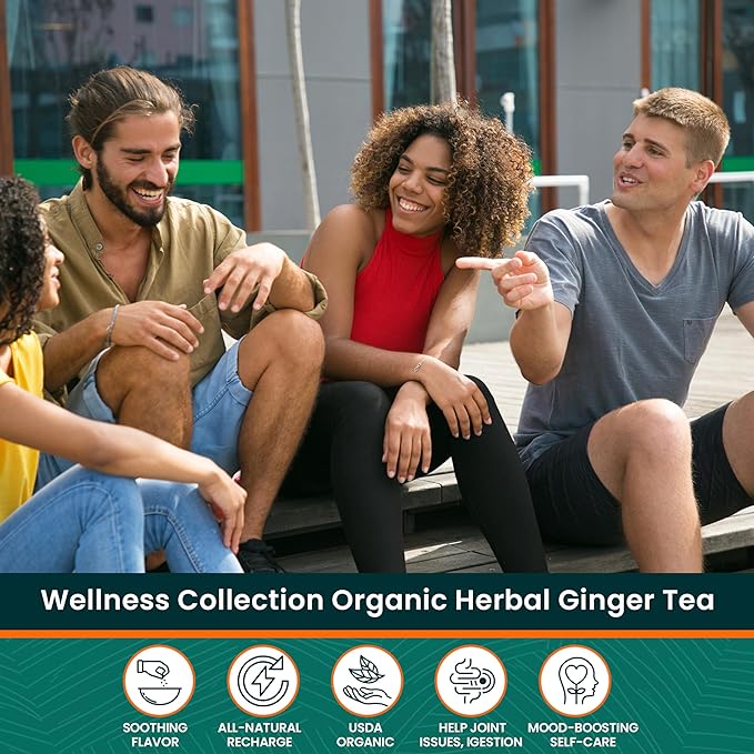 Herbaly Wellness Collection Tea - 8 Active Herbs - Improve General Health, Strengthen Immunity - Natural, Organic, Non-GMO, Vegan, Sugar Free - 3 Pack, 84 Pyramid Tea Bags