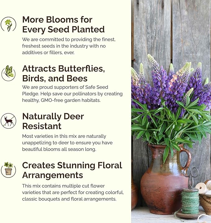 Eden Brothers Arkansas Wildflower Mixed Seeds for Planting, 1/4 lb, 120,000+ Seeds with African Daisy, Cosmos | Attracts Pollinators, Plant in Spring or Fall, Zones