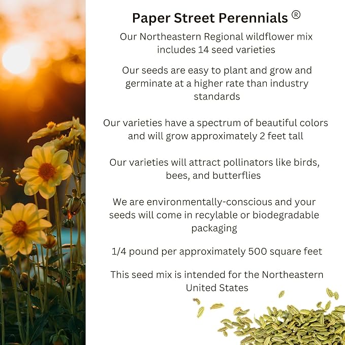 Northeast Regional Bulk Perennial Wildflower Seed Mix 1/2lb Covers 1,000sq-ft - Attract Pollinators, Multi-Color Blooms - Northeast US Species Plant in Spring/Fall - Earth-Friendly Packaging (1/2 LB)