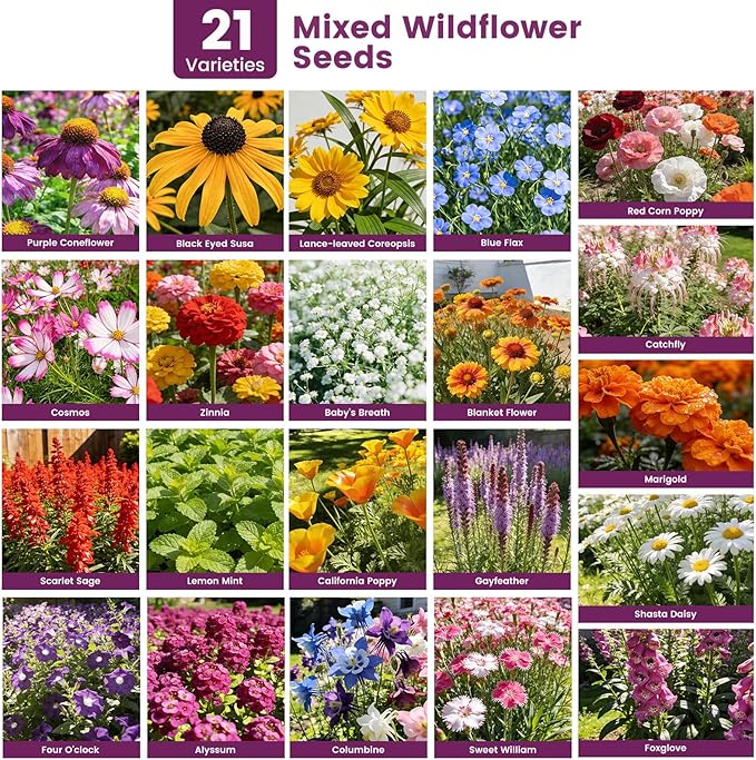 Wildflower Seeds Bulk 10000+, 1.06oz Butterfly Hummingbird Mix, 21 Variety Perennial Annual Mix, Non-GMO Heirloom Flower Seeds for Planting Outdoor Indoor, High Germination Rate Garden Seeds