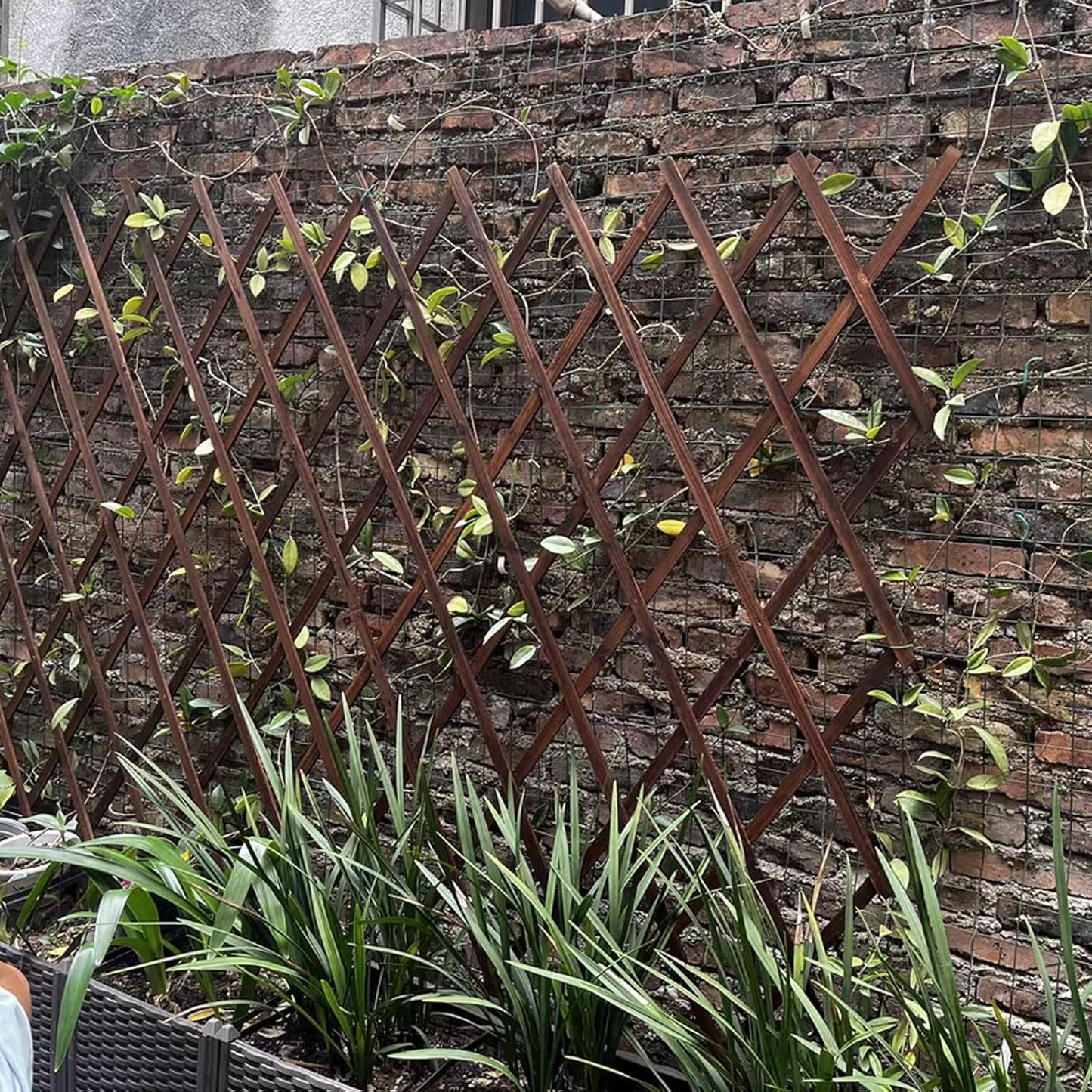 2 PCS Expandable Garden Trellis, 37" x 90" Trellis for Climbing Plants Outdoor, Wooden Lattice Fence Wall Panel Lattice Panels for Outside, for Climbing Plants Vine Ivy Rose Cucumbers Clematis