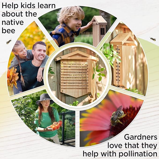 Rivajam Native Bee Observatory | Mason Bee Houses for Pollinating Bees | Pollinator Bee Houses for The Garden Lover | Leaf cutter Bee Home | Unique Gardening Gifts