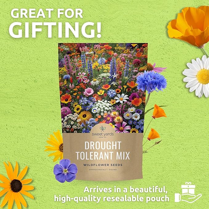Drought Tolerant Wildflowers Mix – Bulk 5 Pounds – Over 600,000 Open Pollinated Non-GMO Seeds – 21 Different Dryland Species