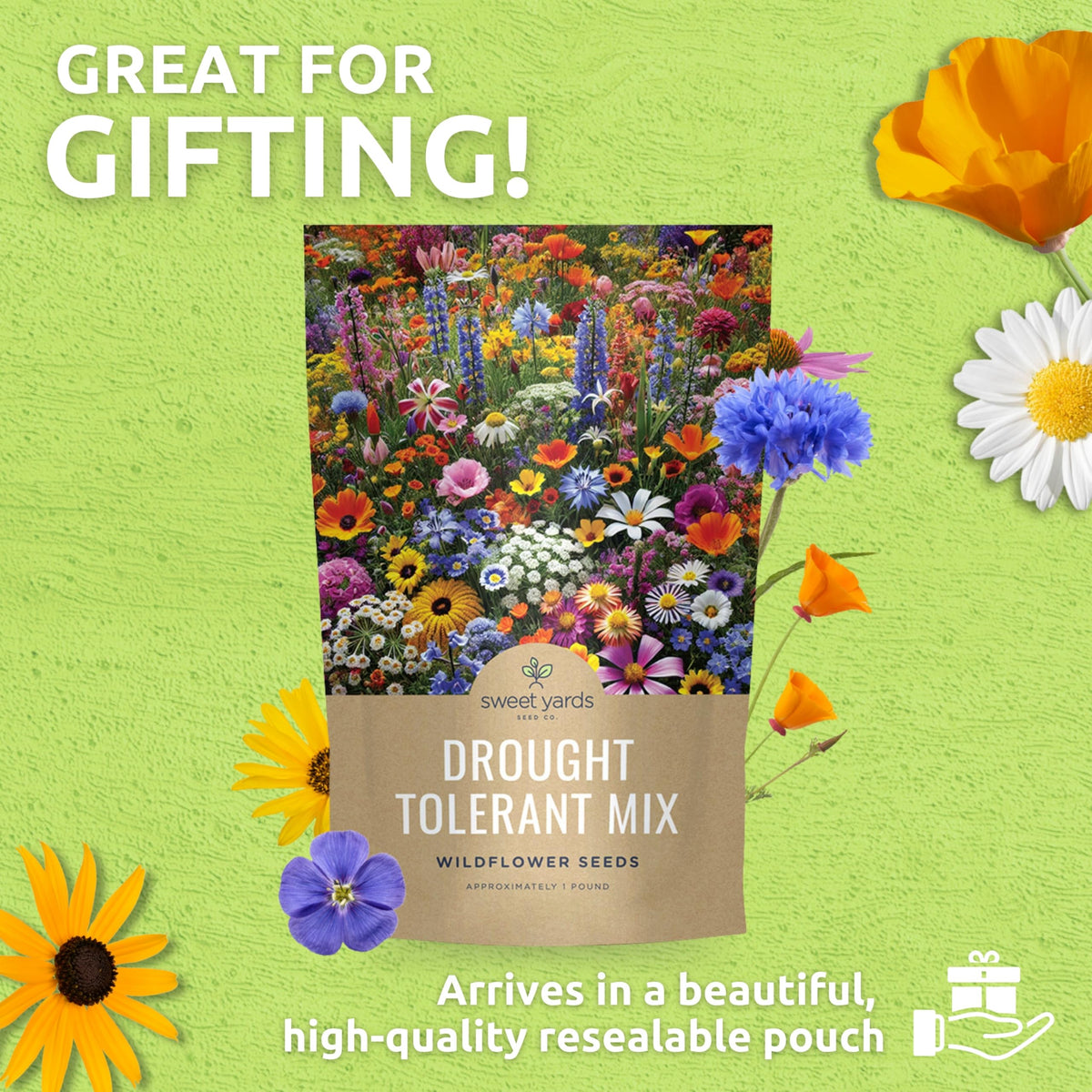 Drought Tolerant Wildflowers Mix (1 lb Bag)