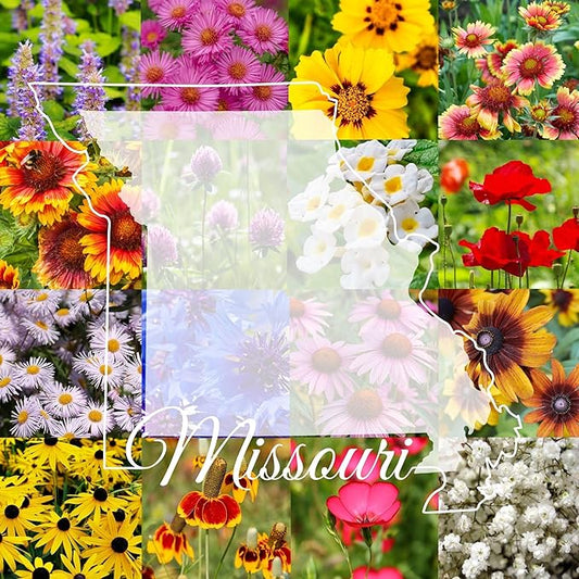 Missouri Bulk Perennial Wildflower Seed Mix 1lb Covers 2,000sq-ft - Attract Pollinators, Multi-Color Blooms - Midwest US Species Plant in Spring/Fall - Earth-Friendly Packaging (1/4 Pound)
