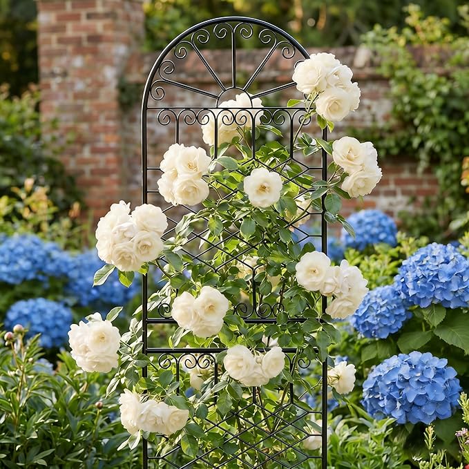 SCENDOR 82.7" H x 26.7" W Extra-Tall Decorative Metal Garden Trellis, Rustproof Iron Arched Trellis with Scrollwork for Large Climbing Plants, Ideal for Roses, Clematis, and Privacy Screens 1 Pack