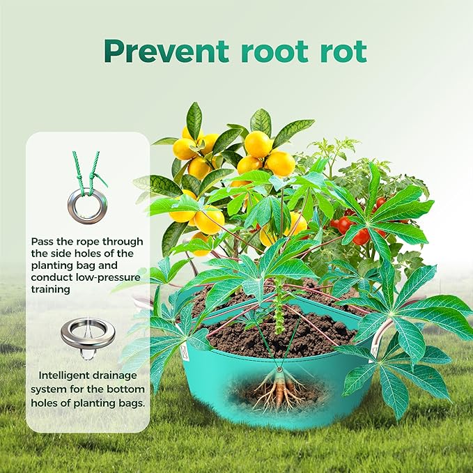 2 Pack 15 Gallon 3 Compartment Potato Grow Bag,Vegetable Growing BagThickened PE Garden Pots with Drainage Holes Branch-Binding Holes, Reusable Plant Bag for Vegetables、Flowers