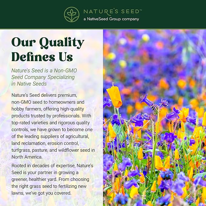 Nature’s Seed California Native Wildflower Seeds Mix Blend, Annual and Perennial, Pollinator-Friendly, 0.5 lbs
