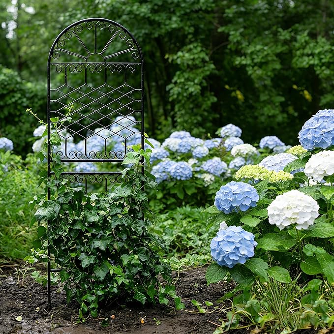 SCENDOR 70.8" H x 24.5" W Heavy-Duty Iron Garden Trellis, Arched Decorative Plant Support with Scrollwork, Rustproof Metal Trellis for Climbing Roses, Clematis, and Vines, for Lawn 1 Pack
