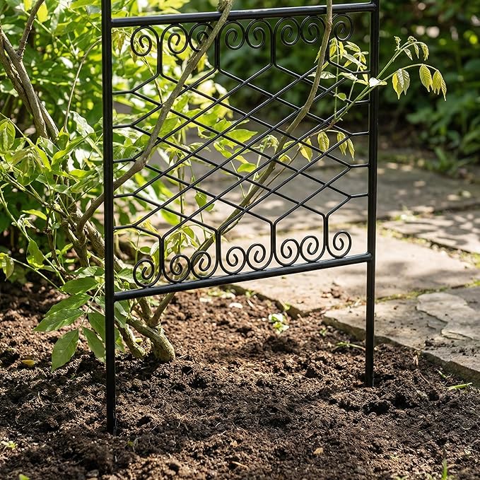 SCENDOR 59" H x 22" W Decorative Metal Garden Trellis for Climbing Plants, Rustproof Iron Arched Trellis with Scrollwork for Roses, Clematis, Ivy, Ideal for Patio, Lawn, and Backyard 1 Pack