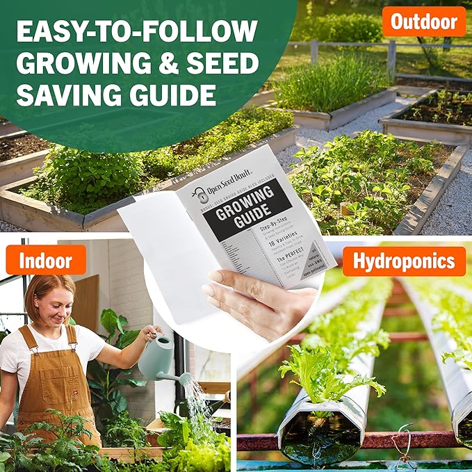 Open Seed Vault |15,000 Heirloom Seeds | 32 Seed Types | Survival Seeds | 2026 Season | Non GMO Vegetable and Fruit Seeds | Planting Outdoor & Indoor Garden