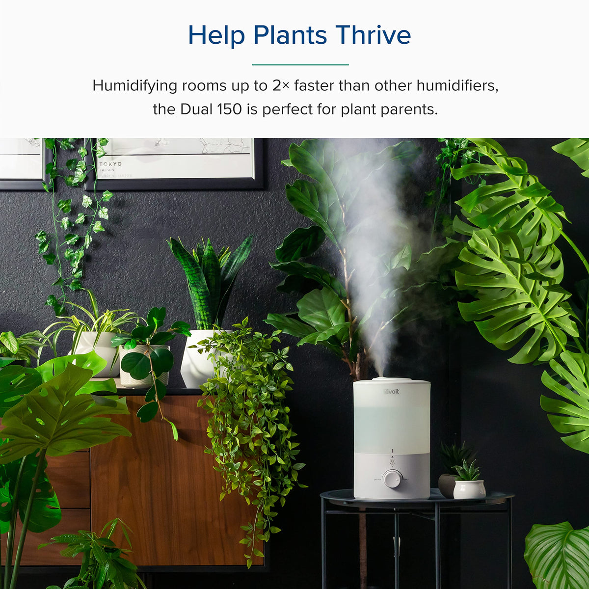 Top Fill 3L Humidifiers for Bedroom with Night Light