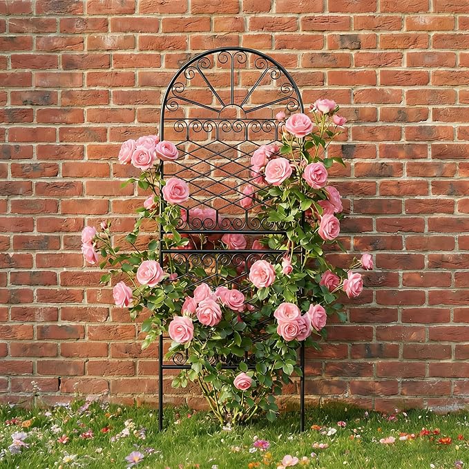 SCENDOR 59" H x 22" W Decorative Metal Garden Trellis for Climbing Plants, Rustproof Iron Arched Trellis with Scrollwork for Roses, Clematis, Ivy, Ideal for Patio, Lawn, and Backyard 1 Pack