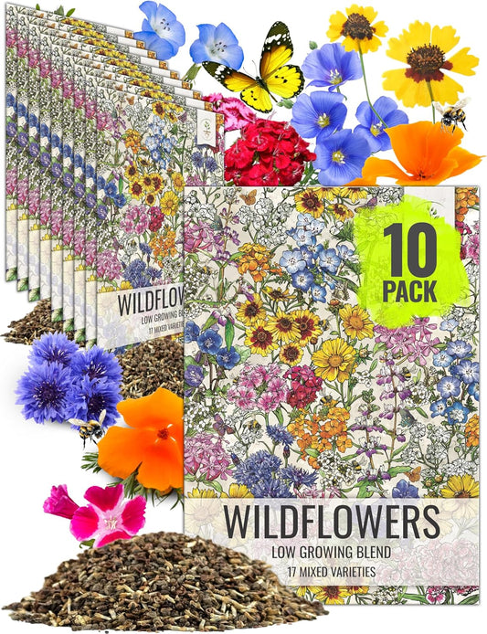 Seed Needs Low Growing Wildflower Flower Seeds for Planting | 10 Packs (1 Ounce Each) Mixture/Blend 17 Varieties | Resealable Package Multicolored Blooms Open Pollinated Mixed Species | Bulk