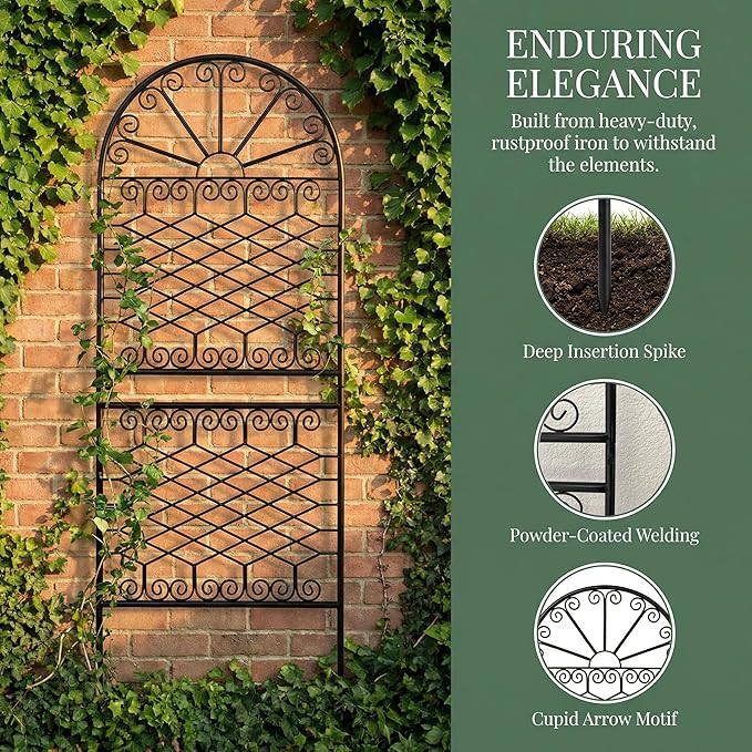 SCENDOR 59" H x 22" W Decorative Metal Garden Trellis for Climbing Plants, Rustproof Iron Arched Trellis with Scrollwork for Roses, Clematis, Ivy, Ideal for Patio, Lawn, and Backyard 1 Pack