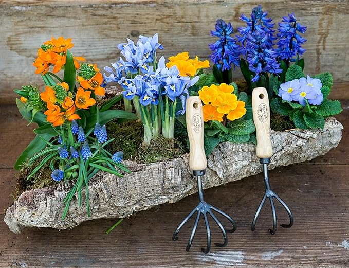 DeWit 5-Tine Hand Cultivator – Tempered Boron Steel Claw Tool for Weeding, Aerating & Debris Removal – Ash Hardwood Handle – Compact Garden Tool – 11” Long