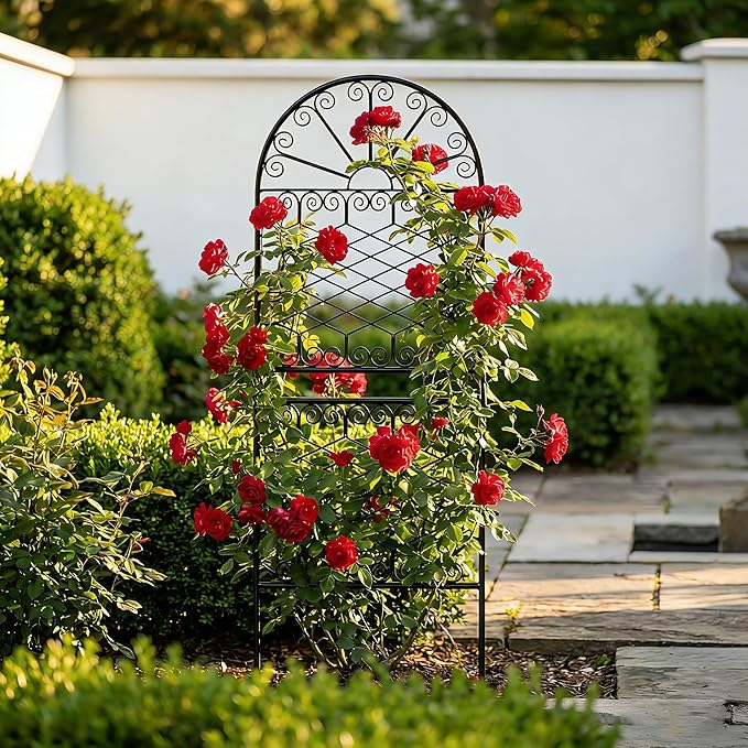 SCENDOR 59" H x 22" W Decorative Metal Garden Trellis for Climbing Plants, Rustproof Iron Arched Trellis with Scrollwork for Roses, Clematis, Ivy, Ideal for Patio, Lawn, and Backyard 1 Pack