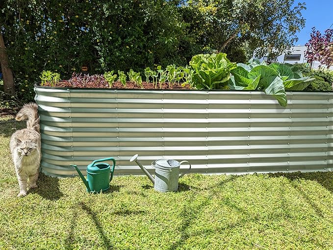 Plant & Plot Galvanized Raised Garden Beds Outdoor // 8×2×2 ft Planter Raised Beds for Gardening, Vegetables, Flowers (Silver) // Large Metal Garden Box // Patented Tool-Free Design
