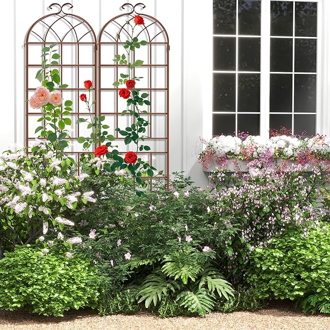 LZRS 2 Pack 83x20in Rustic Iron Arch Decoration Garden Trellis with Black Metal Coating – Perfect for Supporting Climbing Plants Outdoor, Roses, Vines, Flowers, and Vegetables,Brown