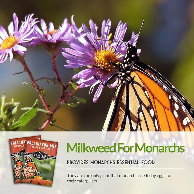 Pollinator Seed Mixture to Attract Monarch Butterflies, Bees & Pollinators - 2 Packets - Milkweed, Garden Flower, & Wildflower Mix for Planting - Support Conservation Efforts - Survival Garden Seeds