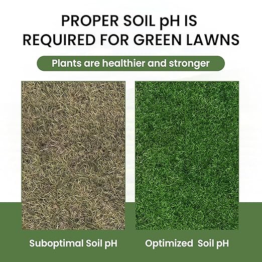 Super Soil Complete Garden Soil Test Kit – Easy to Use for Garden Nutrients, pH, Nitrogen, Phosphorous, & Potassium – Soil Testing Kit for Gardening – Lab at Your Fingertips