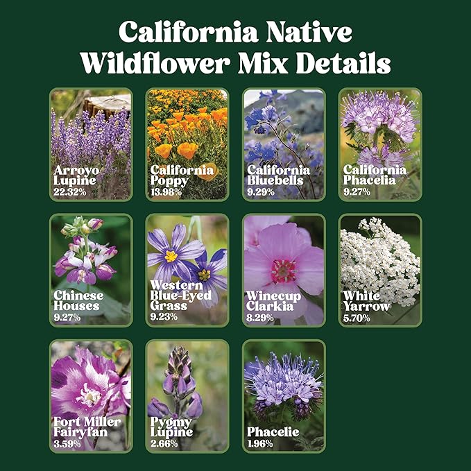 Nature’s Seed California Native Wildflower Seeds Mix Blend, Annual and Perennial, Pollinator-Friendly, 0.5 lbs