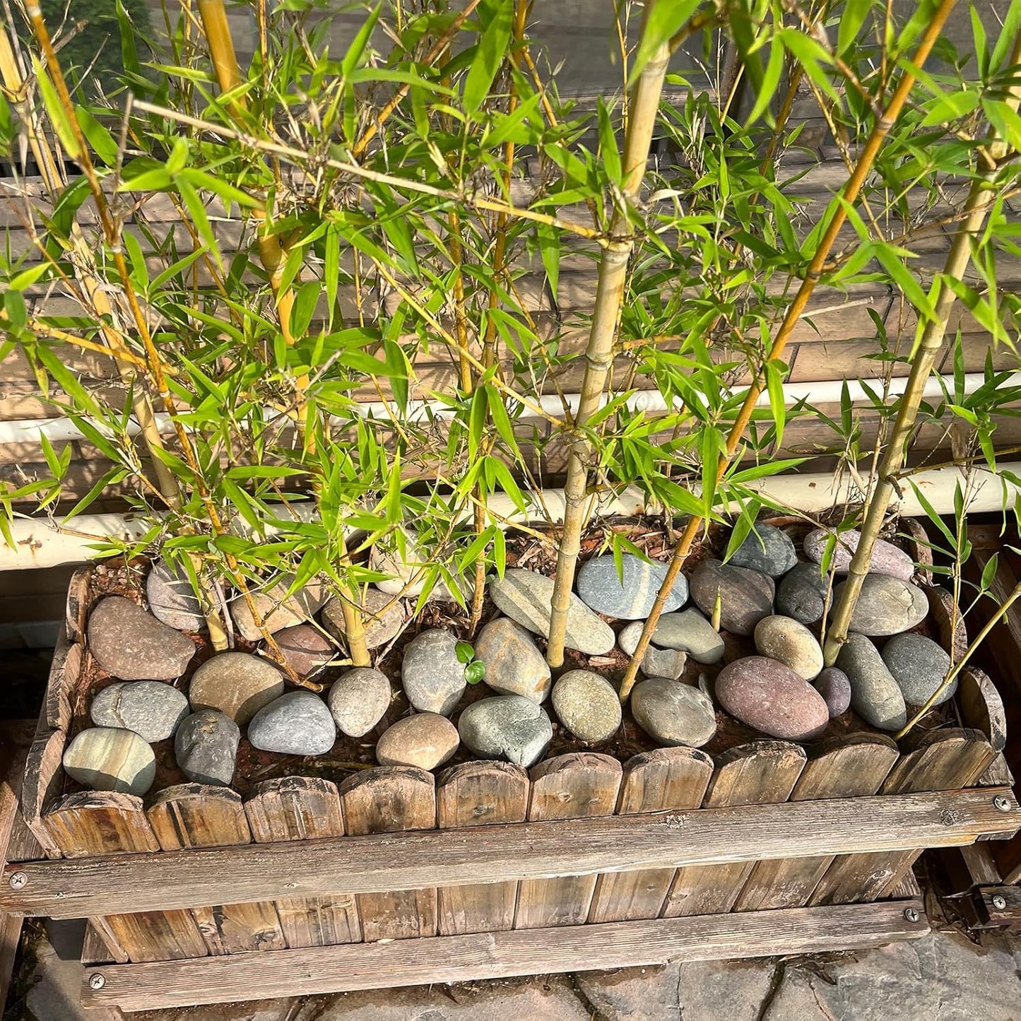 10 lbs River Rocks, 2-3 Inch Natural Pebbles for Plants, Landscaping, Garden, Aquarium, Backyard and Indoor Water Fountains