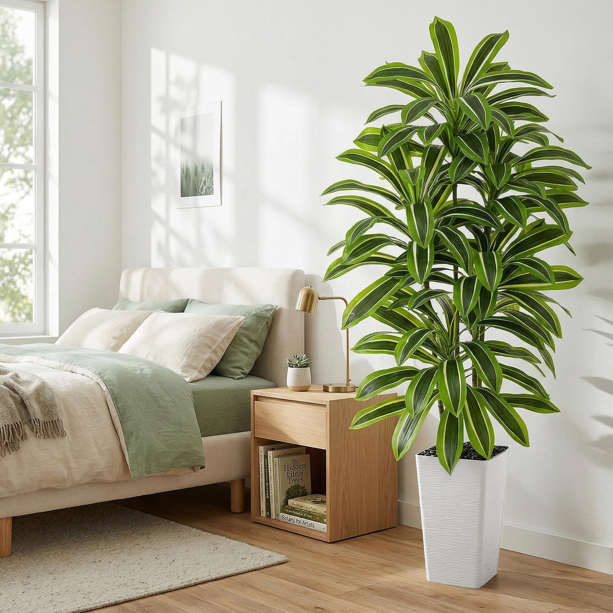 Artificial Dracaena Tree (Light Green – White Pot / 6FT)