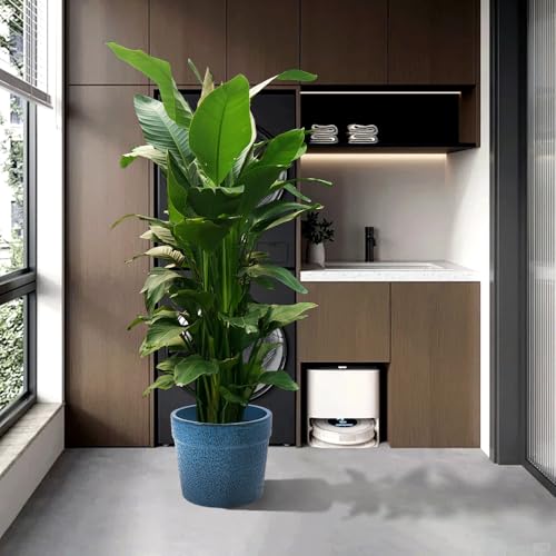 Ceramic Plant Pots Set of 3 Size (Antique Blue)