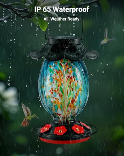 Solar Hummingbird Feeder