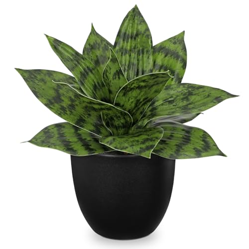 Artificial Snake Plants 9" Faux Agave Succulent Plant Potted in Black Pot Fake Sansevieria Aloe Tropical Plant for Desk Modern Office Home Bathroom Indoor Outdoor Decor