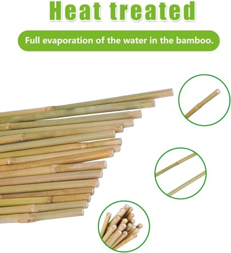 Natural Bamboo Plant Stake（Approx 5FT 50Pcs） Sturdy Bamboo Poles (4.8ft-50pcs)
