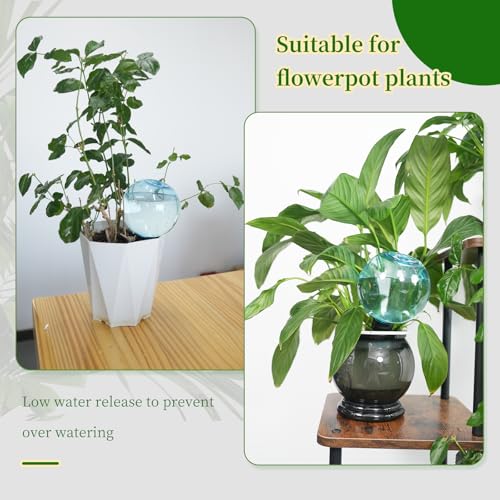 3pcs Large Plant Self Watering Globes (3pack / Blue)