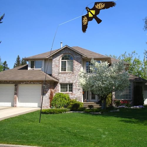 Bird Scarer Kite Without Pole Bird Hawk Flying Kite