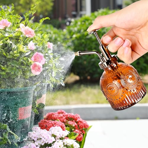 Glass Plant Mister Spray Bottle (Brown)