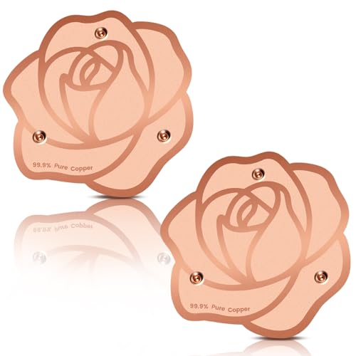 2 Pack Bird Bath Copper Disk
