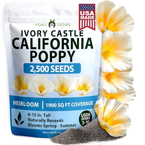 Ivory Castle Poppy 2500 Flower Seeds Eschscholzia californica