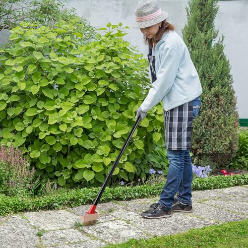 Weed Moss Remover Brush Tool 53'' Long Handle for Roof Paver Deck